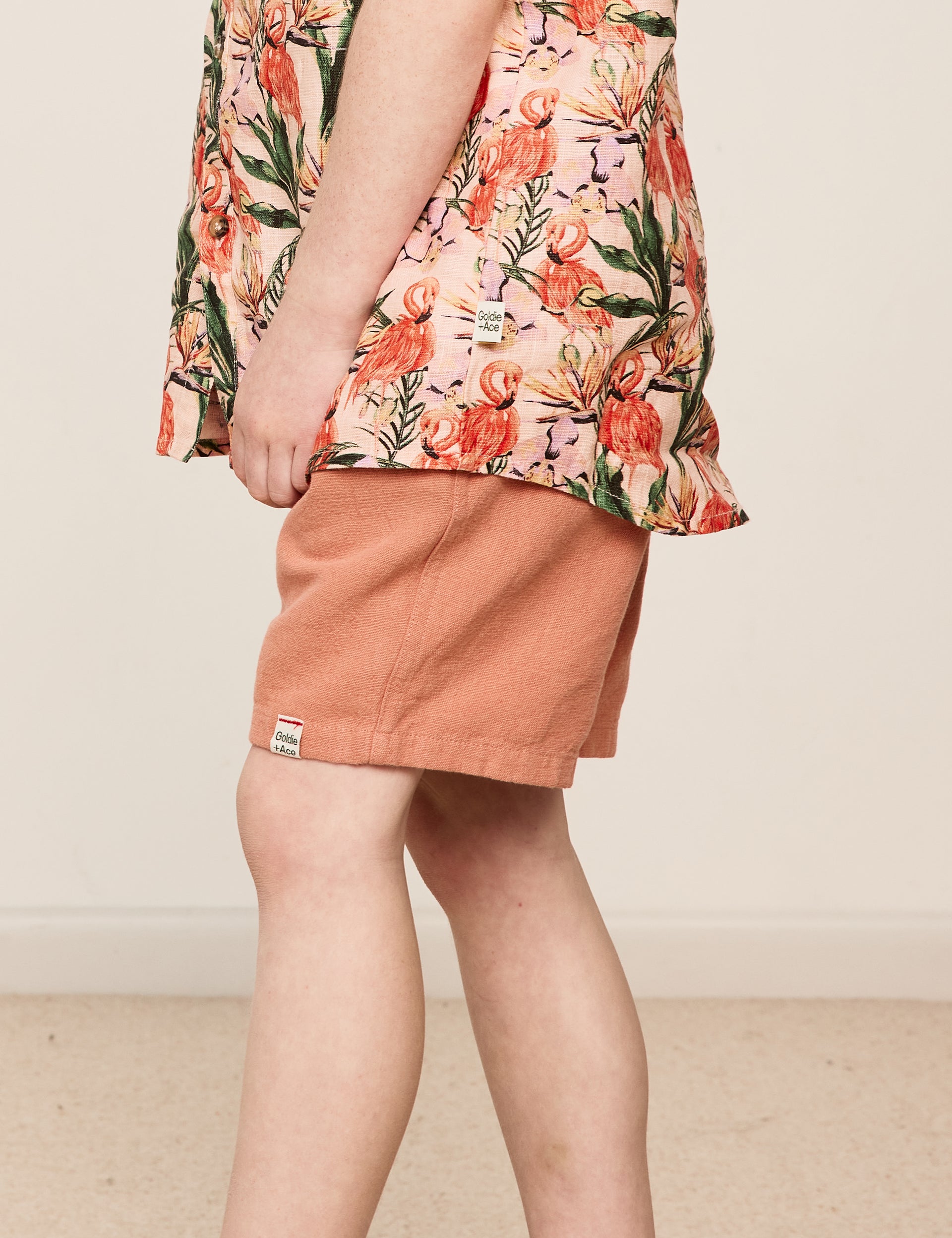 Noah Shorts Sunset