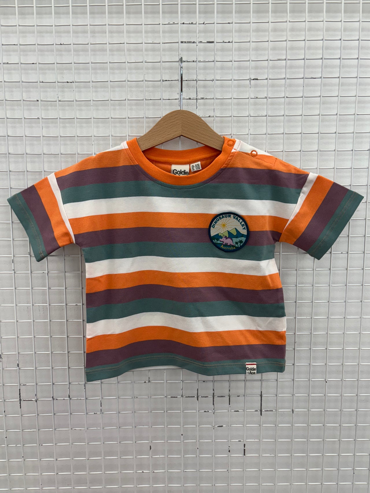 DINO VALLEY STRIPE T-SHIRT - 6-12M