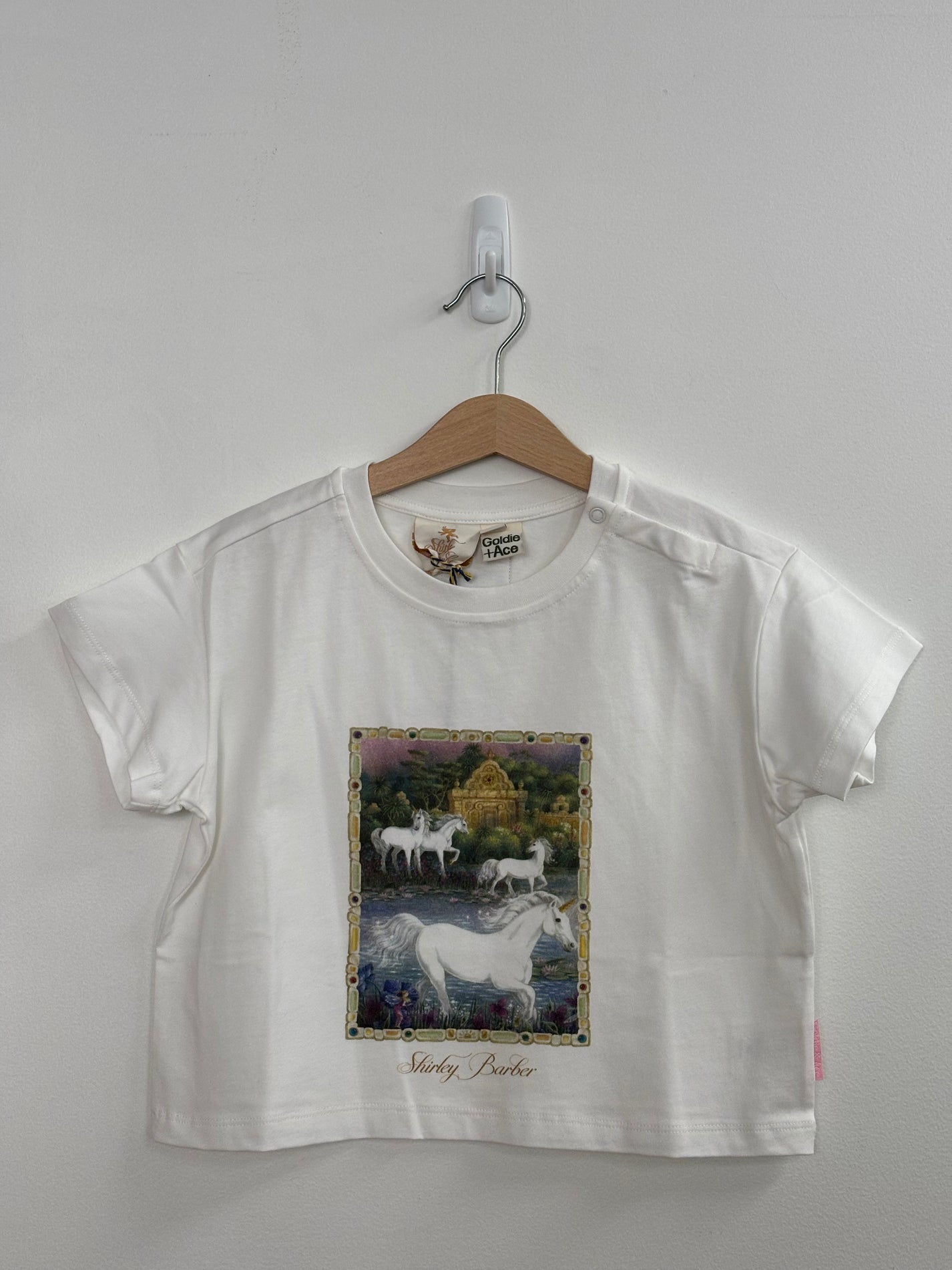 SHIRLEY BARBER UNICORN OVERSIZED T-SHIRT