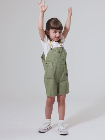 Carpenter Utility Burton Overalls