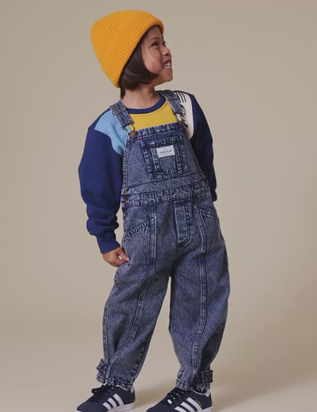 Blake Vintage Washed Denim Overalls