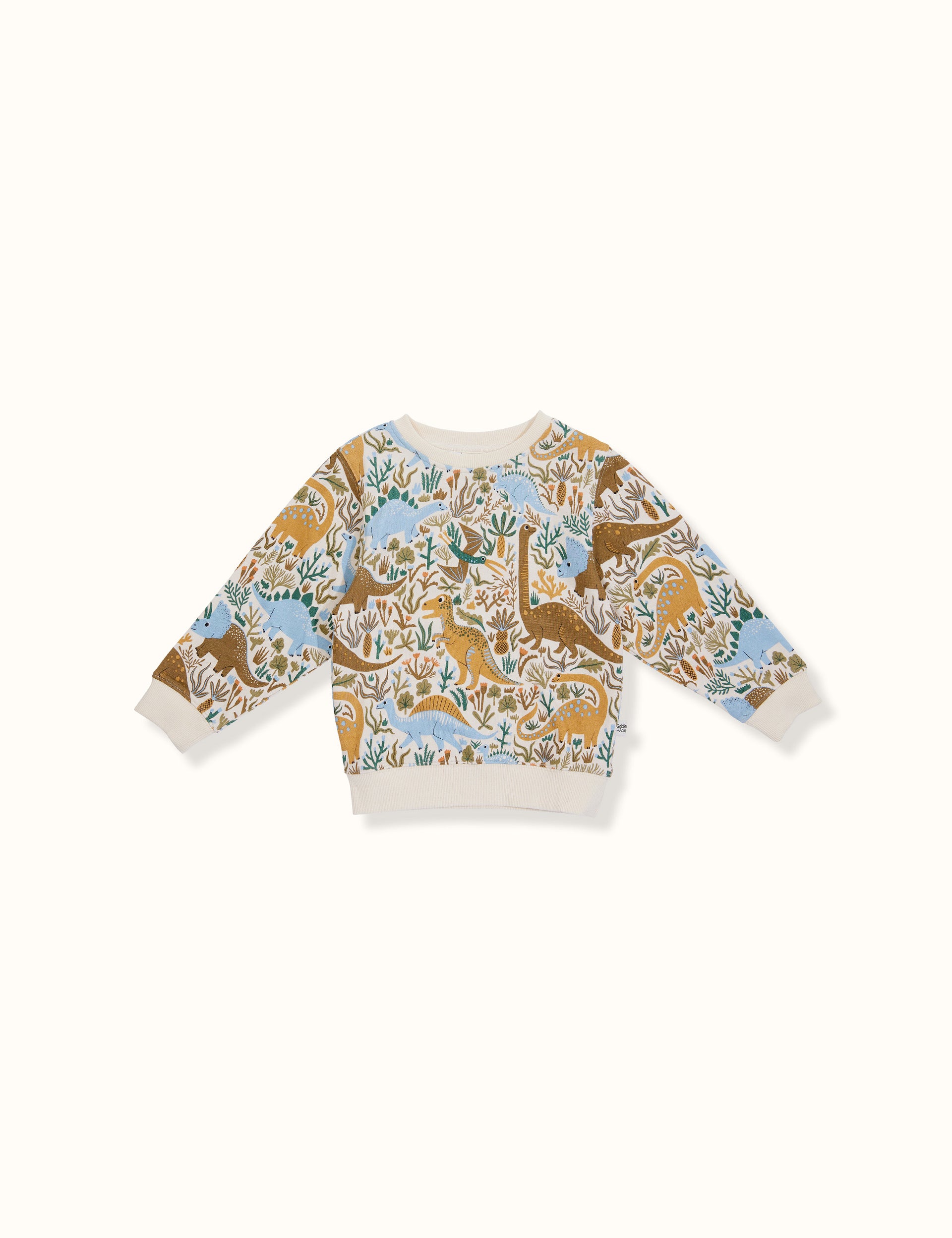 Dino Roar Terry Relaxed Sweater Blue
