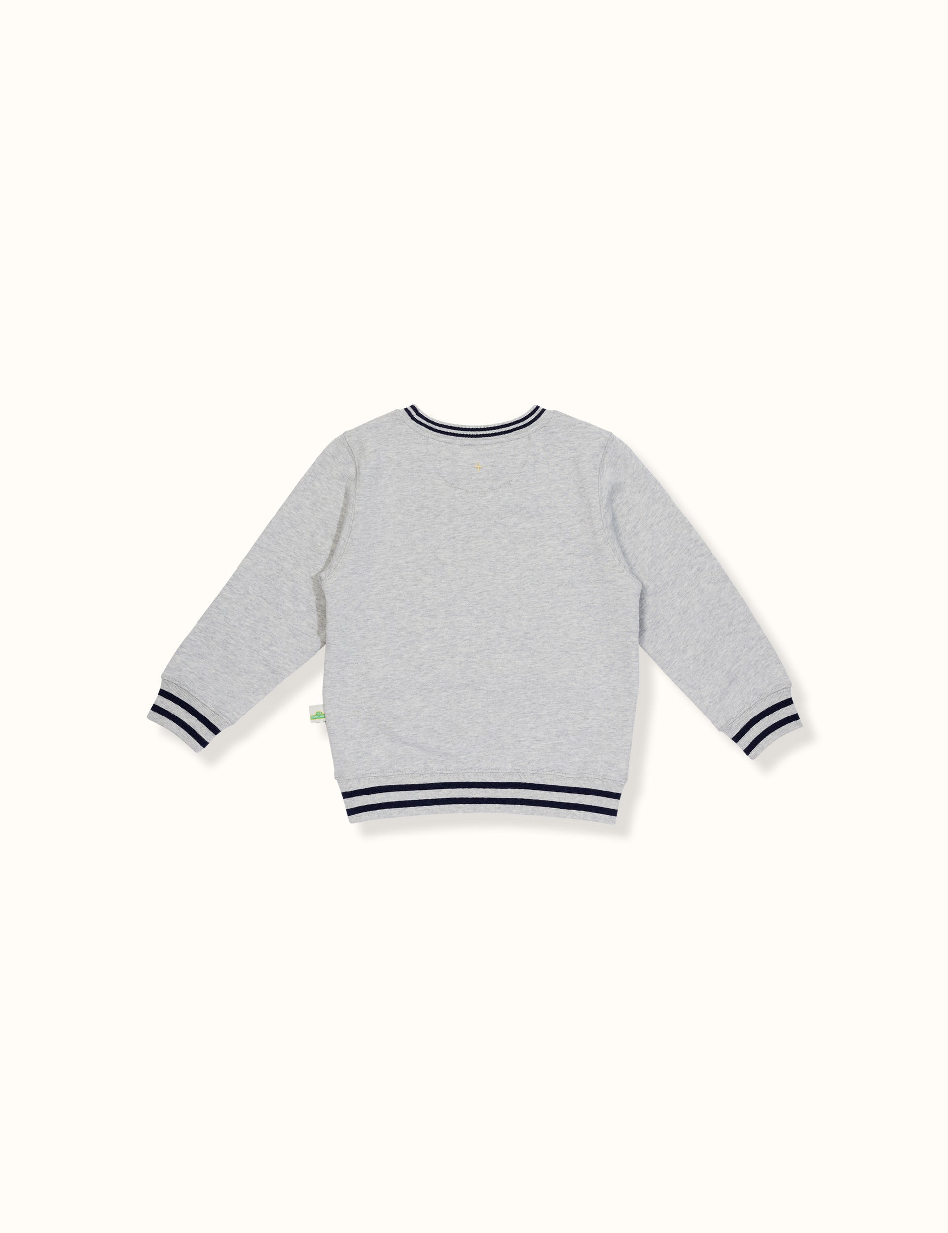 Sesame Street® Panel Sweater Grey Marle